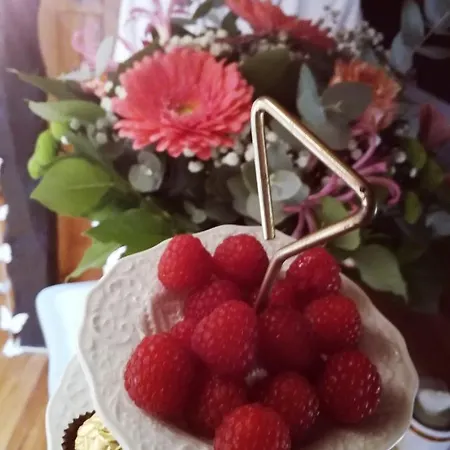La Plaine Enchantee Couette-café Castagnac